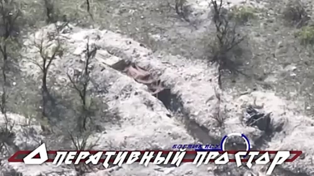 ���� ����� ���������� ��������� �� ������� ���