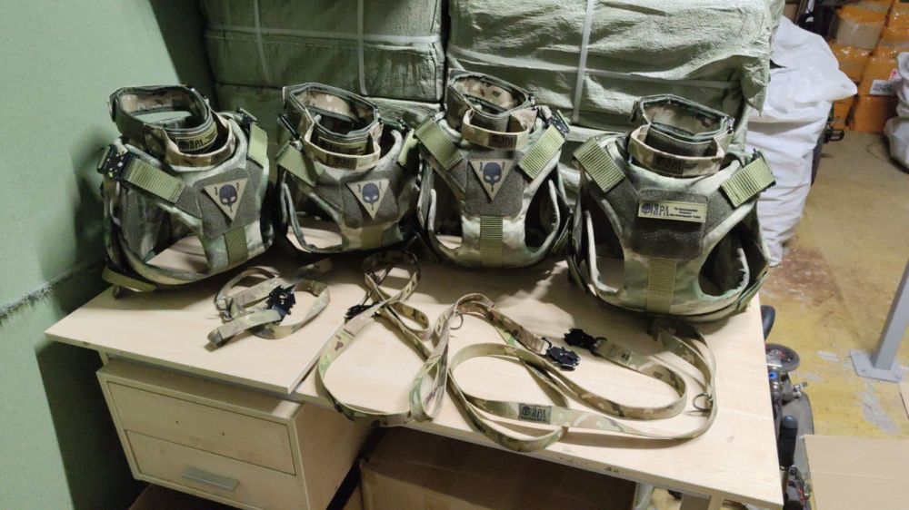 9 ��� 2024 ����. ���� ������ �� ��������, ���������� � ���, ��� ����� ������ ����� ���