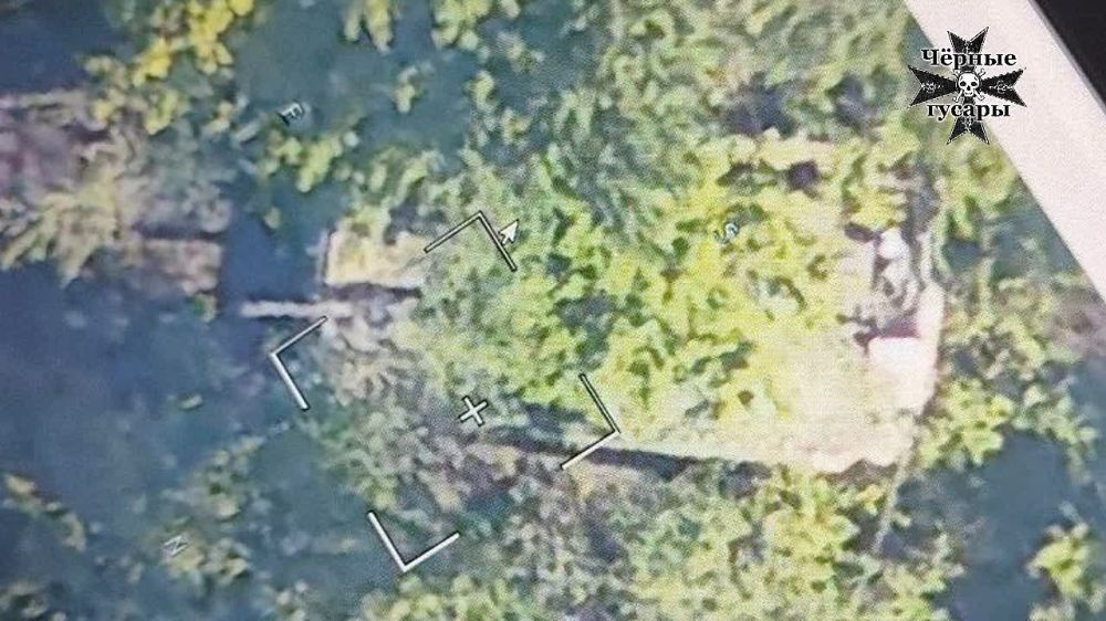 ������ ������ "�������". "������" �������!