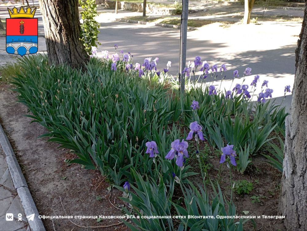 ������ ����, �������!. @VGA_Kakhovka