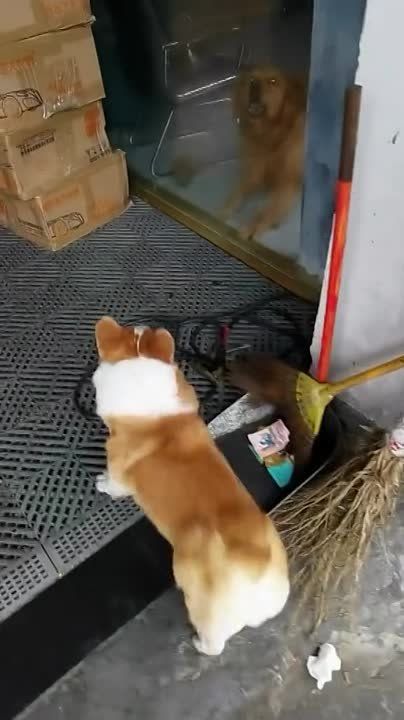 ������ ������ ������� ������� ������!