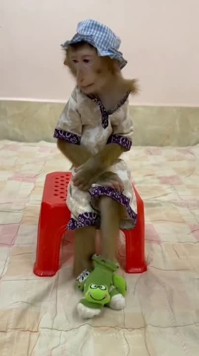 ����� ���� �� ���� ��� ��������