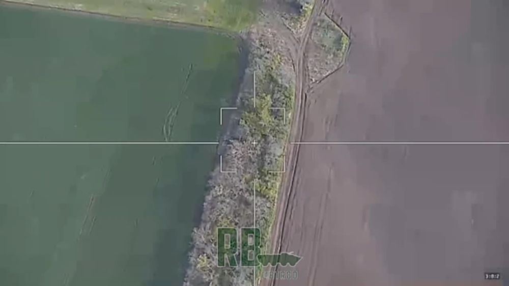 "������" ����������� "�����" ������� ��������� ������������ ������� �777