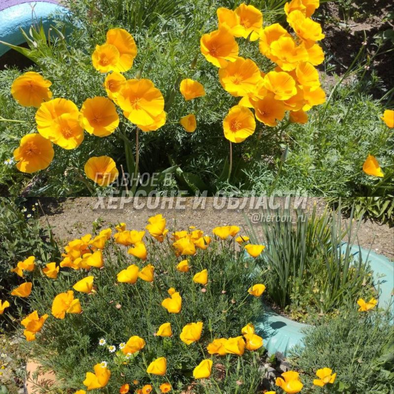 ������ ������ ������ � ���������� �������� � ������� � ������� ���������� � ���� ������������ ������ ����