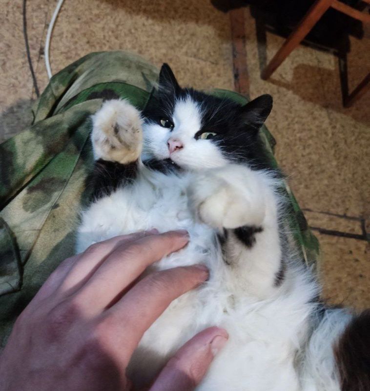 ��� ����� ����� ������� ���� � ����� ������ � ������������ �����������