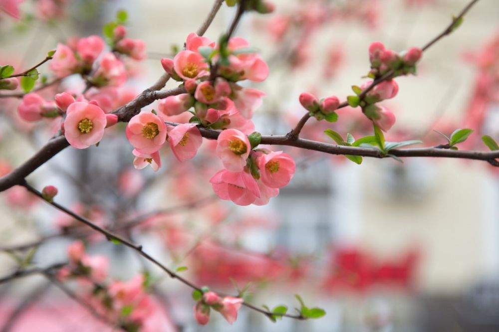 10 ��� � ���������� ������� �������� � ����