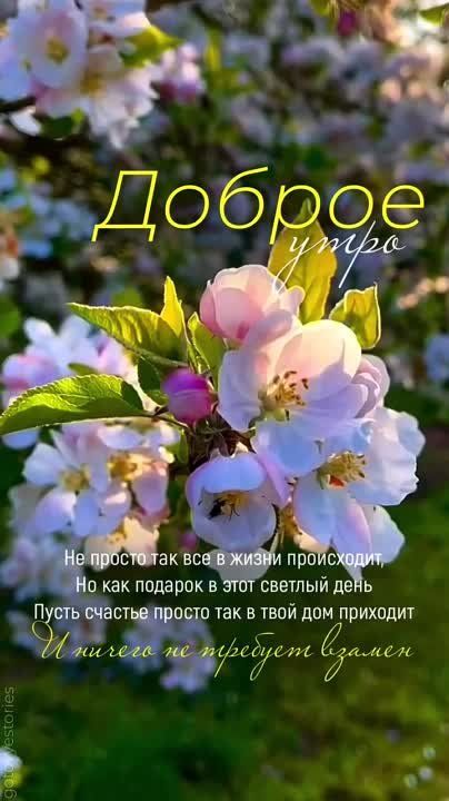 ������ ����. ������� ���� � ������� ����� �����������, � �� ����� ��� ���� ����� ���������� �����. ��� �������. ����������� �� +6 ����� �� +20 ���