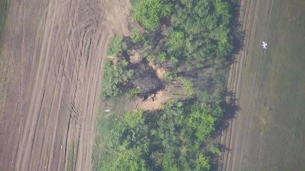 "�������" ���������� ���������� ����� �� ���������� �����������