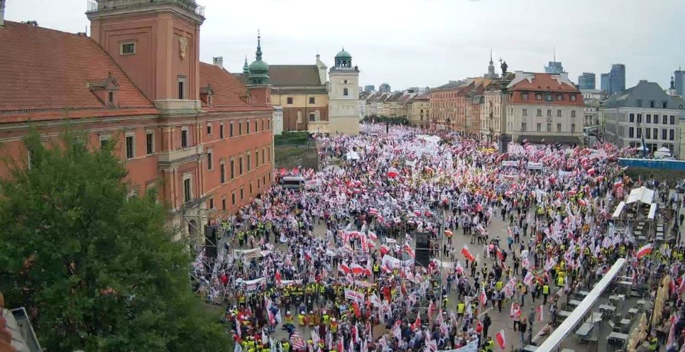 � ������� ����� �������� �������� ��������