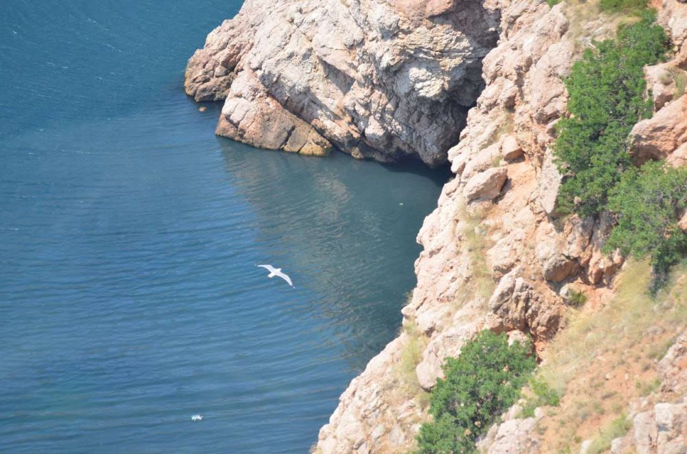 �������� ��, � ����� �������� ����� �����, �� �� ������ ���� �� ������������ ������, ������������� �������, ���������� ����� � ����������� �������