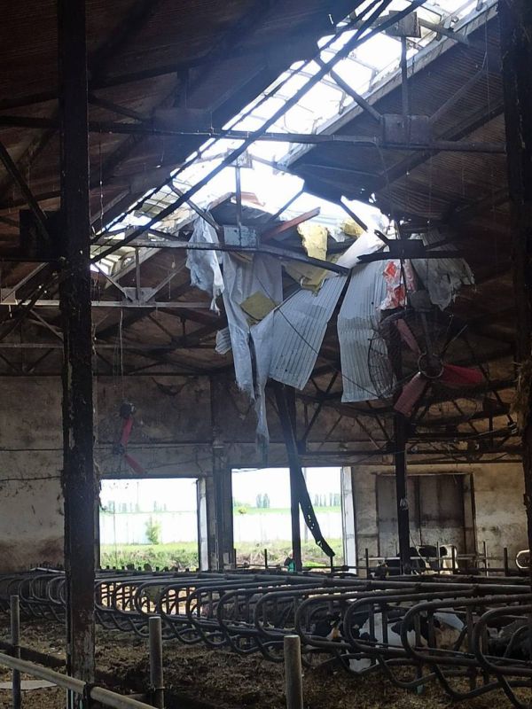 �� ���� ���������� ������������ ������� ��������� �������� ���������