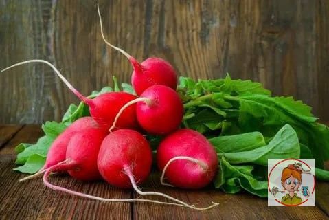 ����� ������� ������� ���