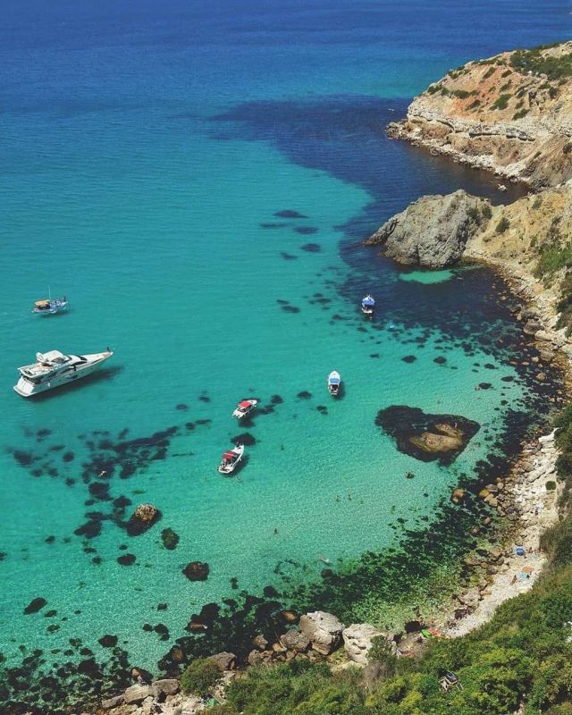 ����� �� ������� ����������� � �����