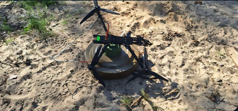 ������� �����, ���������!