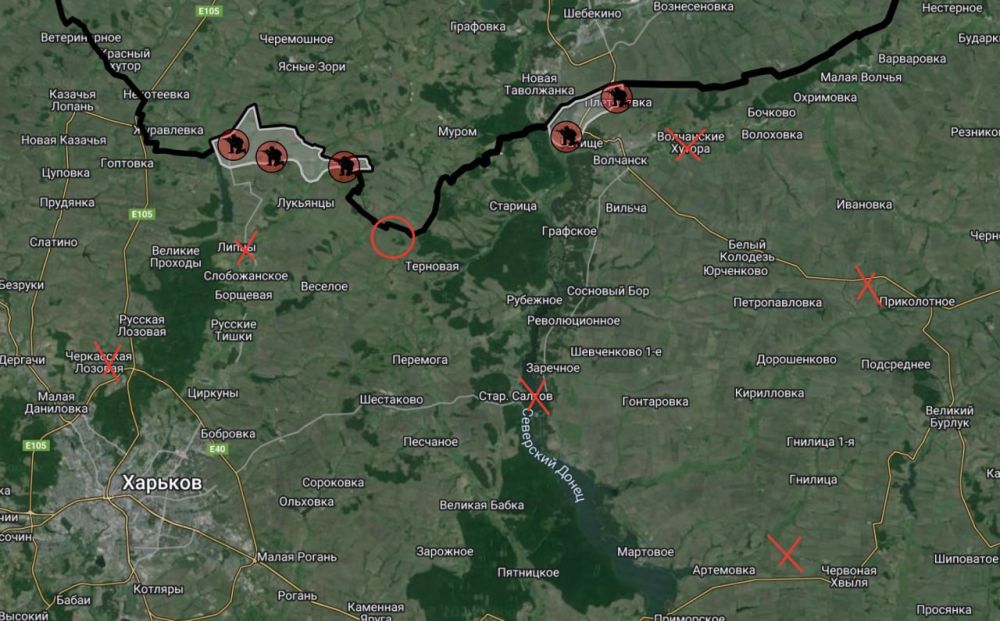 ������ �� ������������ ����������� �� ���� 11 ��� 2024 �