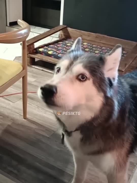 �� �� �������, �� �� �����