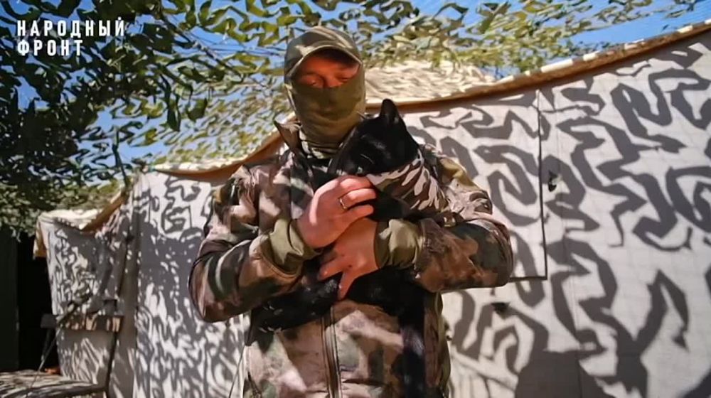 �������� � �����: ������ �� ��� ���-������