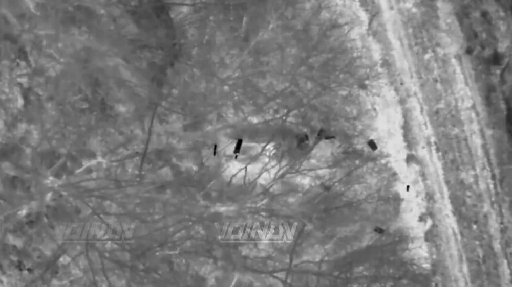 ��������� ���� ���������� ������� ����� ����������� ��� � ������ ��������