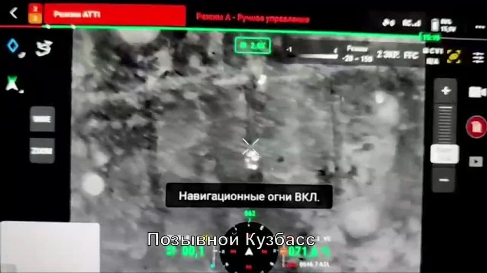 ����� �����: ���������� �����������