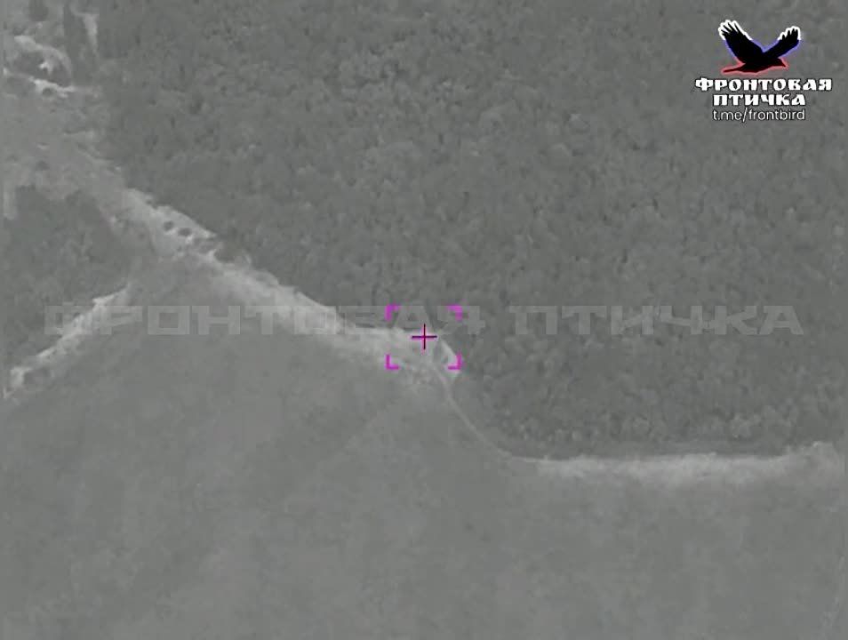 ����������� �������. ����������� ����������� ��� ��� ���