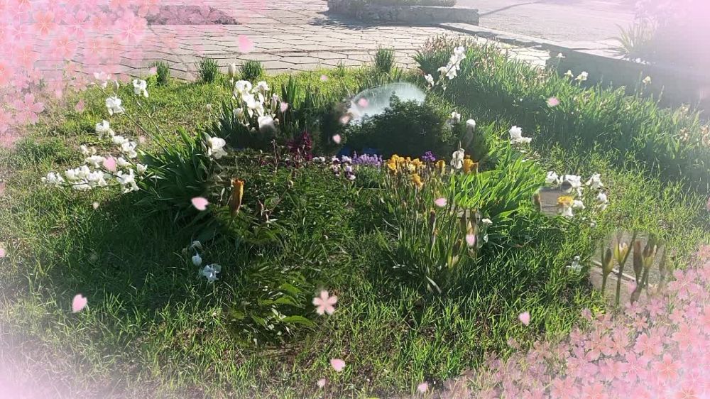 � ������ �����, �����������!