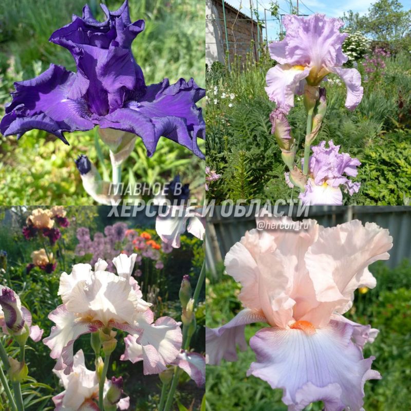 ��������� ������� �� ����������� ������ � ���� ������� ���������� ��������� � ����������