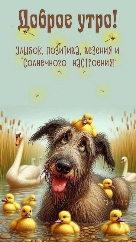 ������ ����. ������� ������, ������� �������� �� ���� ����� � ����������� � ������� ����� ���� ����, � ������ ������ ����������. ��� �������. ����������� �� +7 ����� �� +17 ���