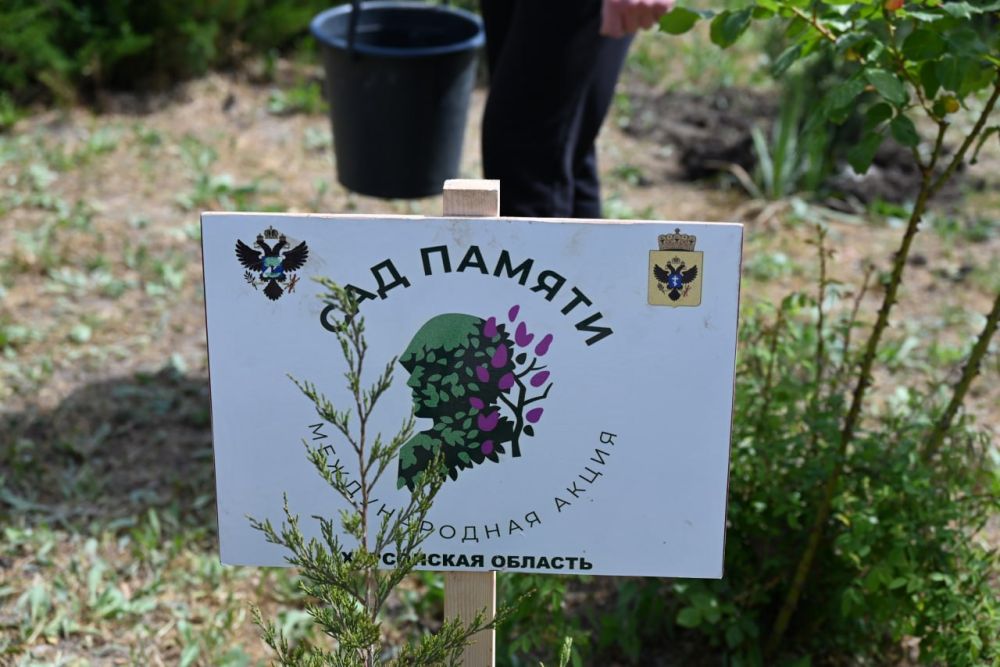 � ��������� ������ ������������� ����� "��� ������"