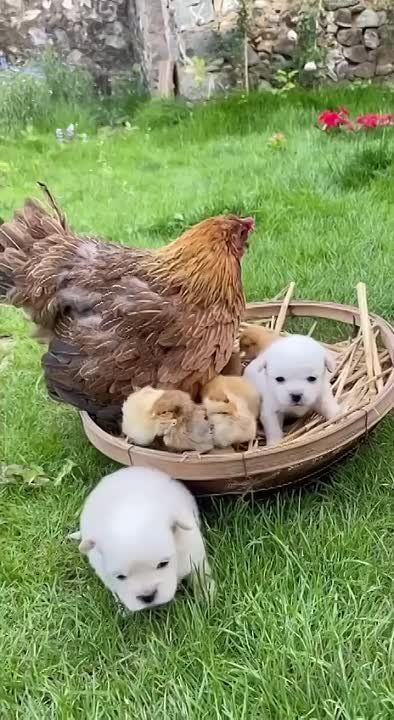 ������� �� ����. ���� �� �������, ��� ������, ��� ��� ���� � ����� �� ������� �� ���� ���������, �� �� ����������. � ��� ����� ����� �����