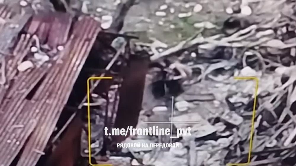 ����� ������ �������� � ���������