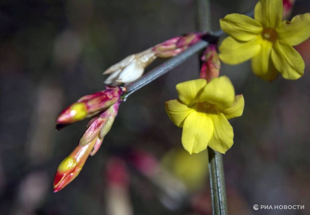 ������ �� ����� ����������� ������