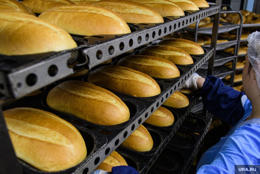 ���������� telegram-������ ���� � �������� ��������� � ���������� �������