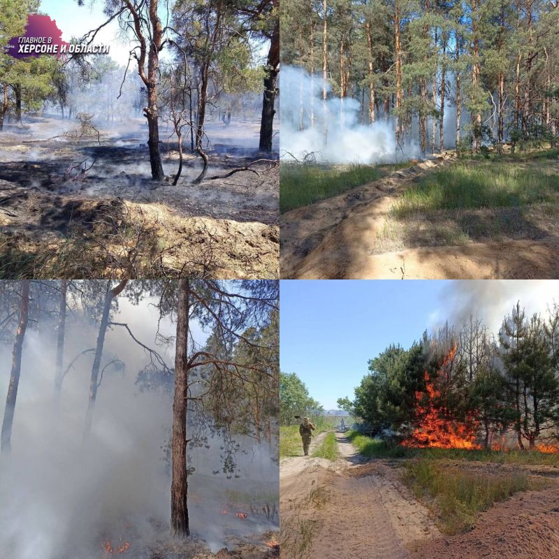 ��� ������ ����������, ��������� � ���������� ��������� ���������, ������������� � ��������������� �������������� ���������