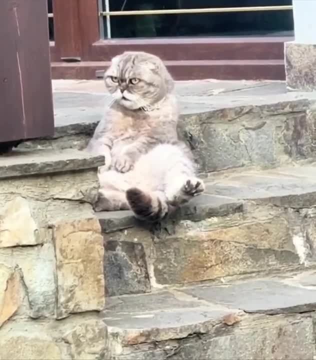 ��������� ����� ��������� ������� �������������: