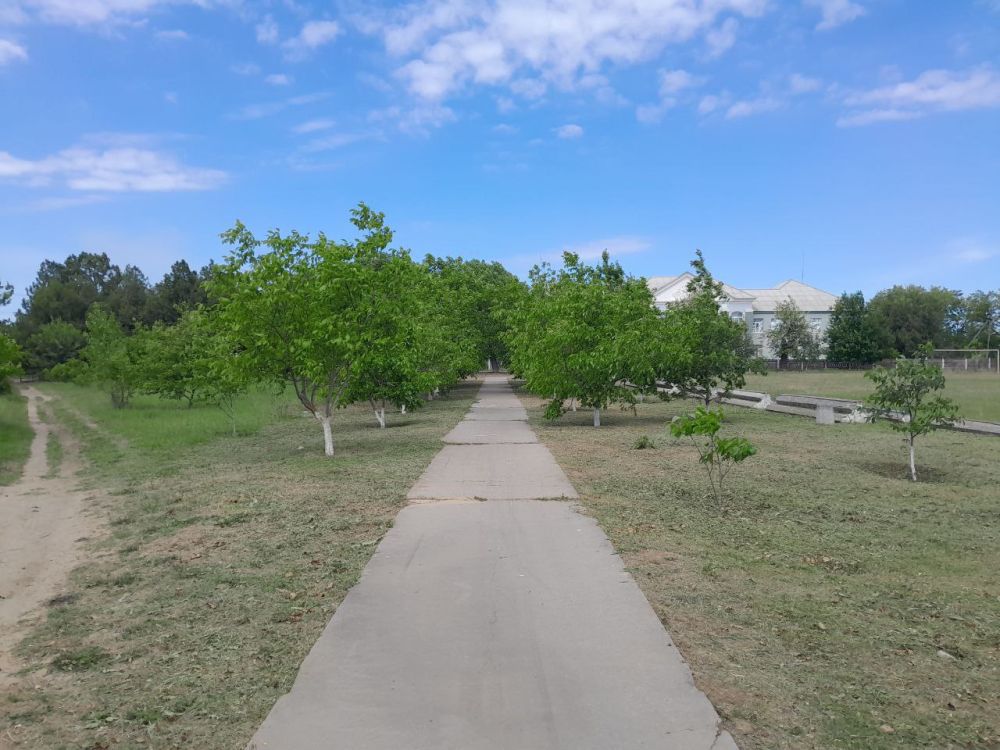 �������� ����� ��������, ��������� � ��� ���� �� ������ ����� �� ���