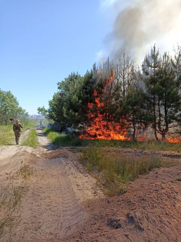 �� ����������� ���������� ���������� ������ ������ ������