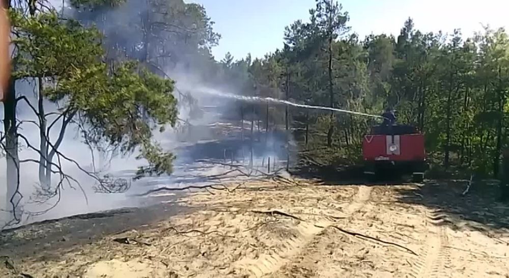 ����������� ������� � ��������������� �����������