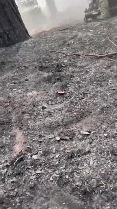 ������ ��������� ��������� ���������� ���������� � ����� ���������� �������