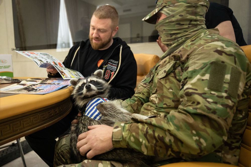 ���� ������ ������� ������ ���� �������� ������ � ����������