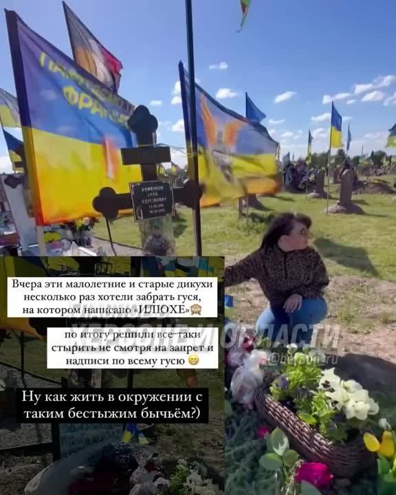 ���������� � ������ ������ � ����������� ��� � ��������� ������ ��������������� �������� ����������