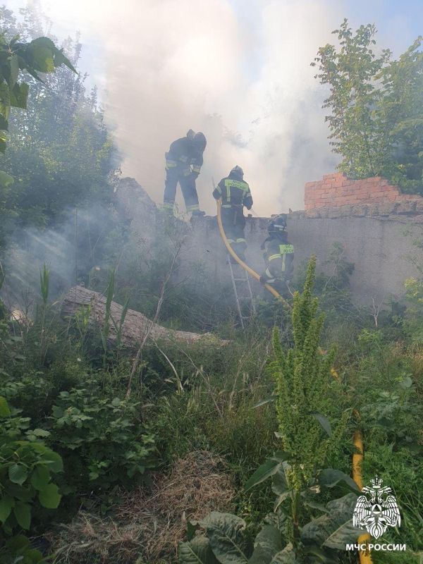 ����������� ���������� �� 12 ��� �� ���������� ���������� �������