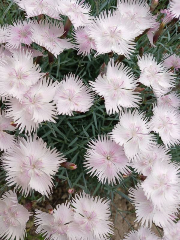 � ������ �����, �����������!