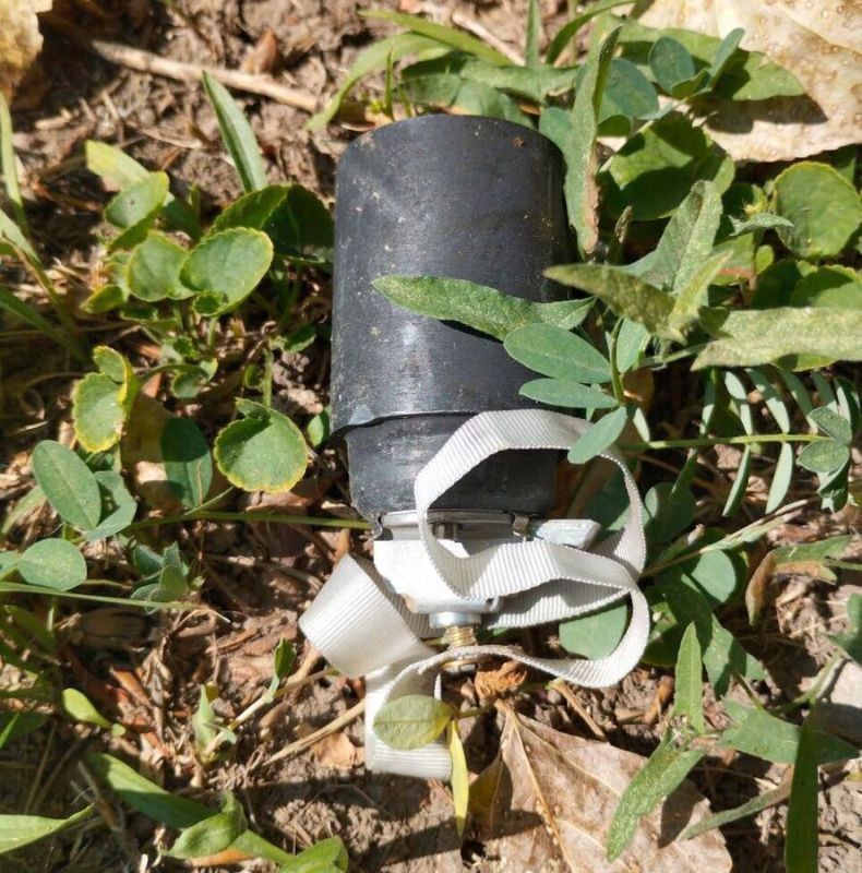 �������� ������ ��������� � ���, ��� � ��������� ��������� ���������� ������