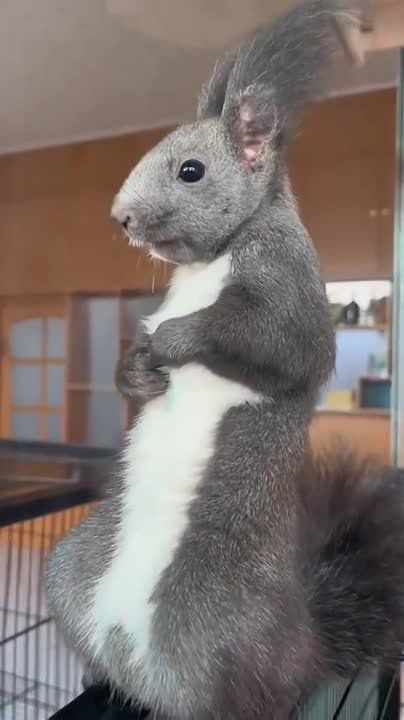 ������� �� �������.. ��� ������, ����� ��������� ����������� � �� ��������, ��� ���� �� ������