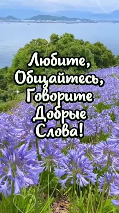 ��������� 14 ���. ���� ����������