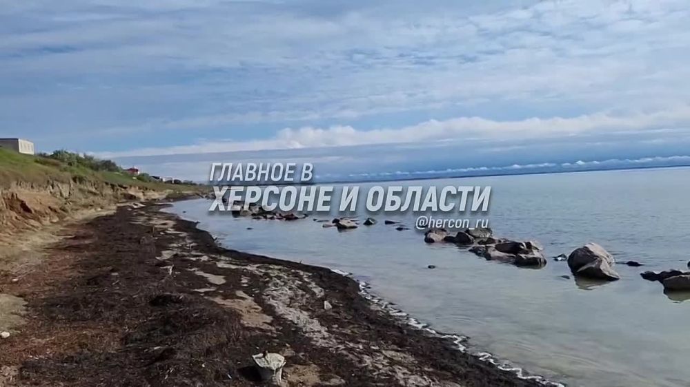 ���������� ������� � ���������� �������� � ������� � ������� ���������� ������� ������ �����