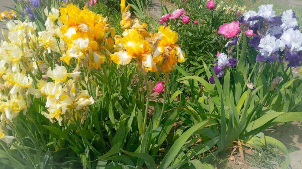 � ������ �����, �����������!