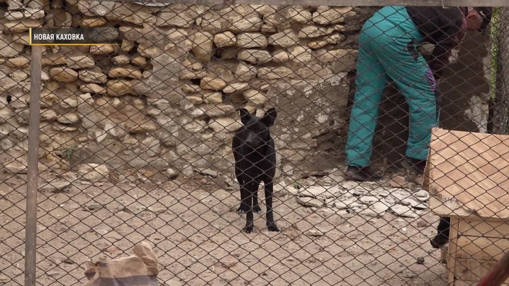 �������������� "������" ������, ��� �������� ����� ��� �������� � ������������� ������