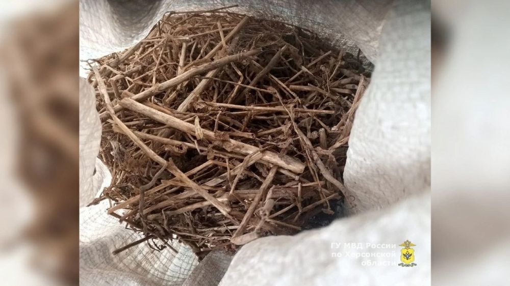 � ��������� ����������� �������� ������������ ������������