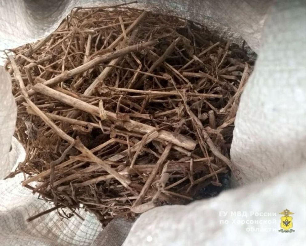 ������� ���������� ������� �������� ������������ ������������ � ���������